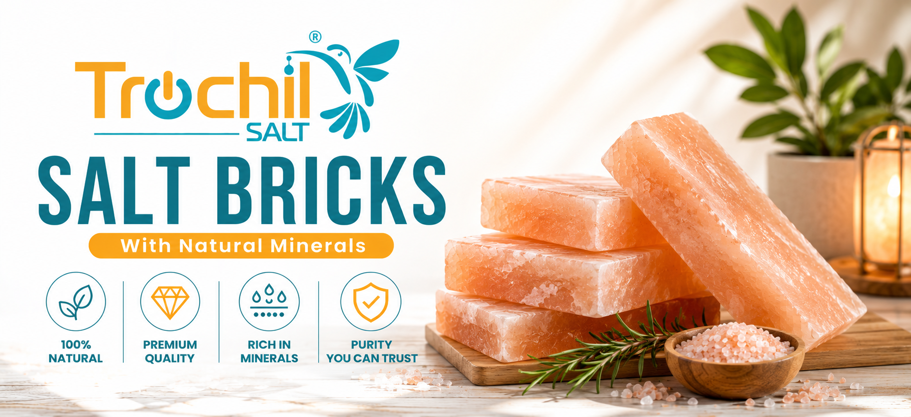 Salt Bricks